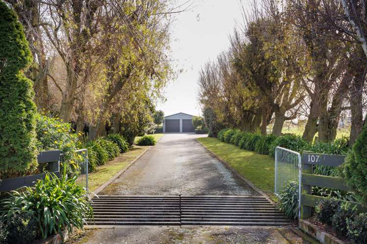 107 Puawai Road Rangiotu_37