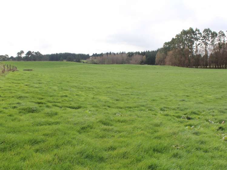 86 Glengarry Road Dannevirke_16