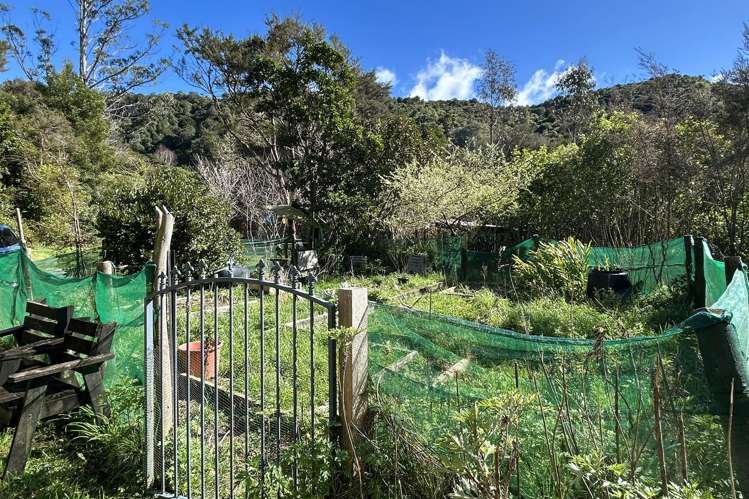 219 Parapara Valley Road Collingwood_10