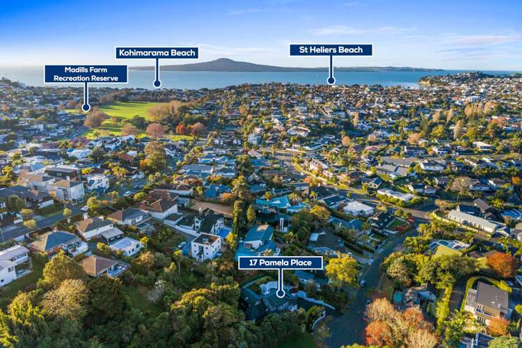 17 Pamela Place St Heliers_16