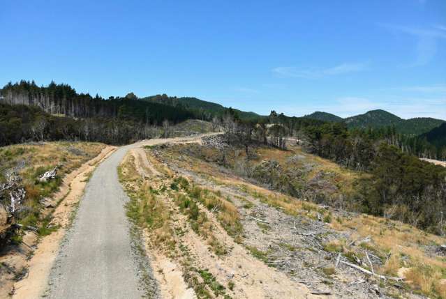 Lot 2 Kaiwhata Road Te Wharau_1