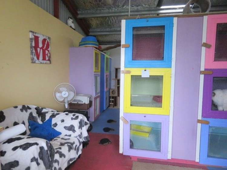 255 Gibbon Road Morrinsville_21