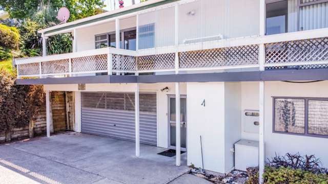 406b Rolleston Street Thames_1