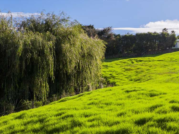 45B Finlayson Road Matarau_10