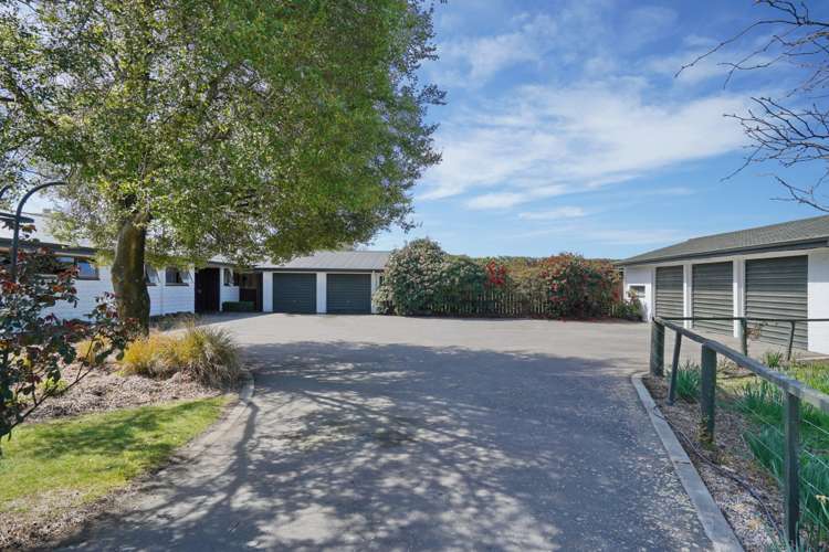 196 Miners Road Templeton_5