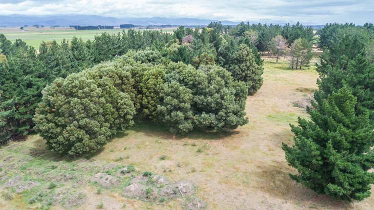 266 Wall Road Foxton_2