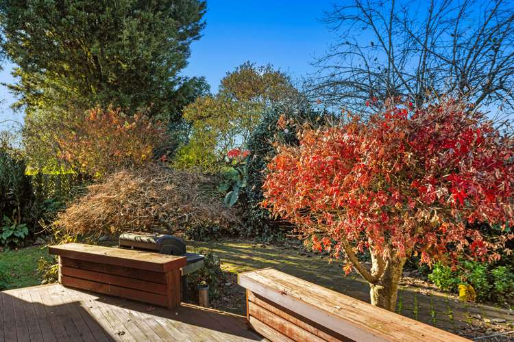 81 College Road Edgecumbe_16