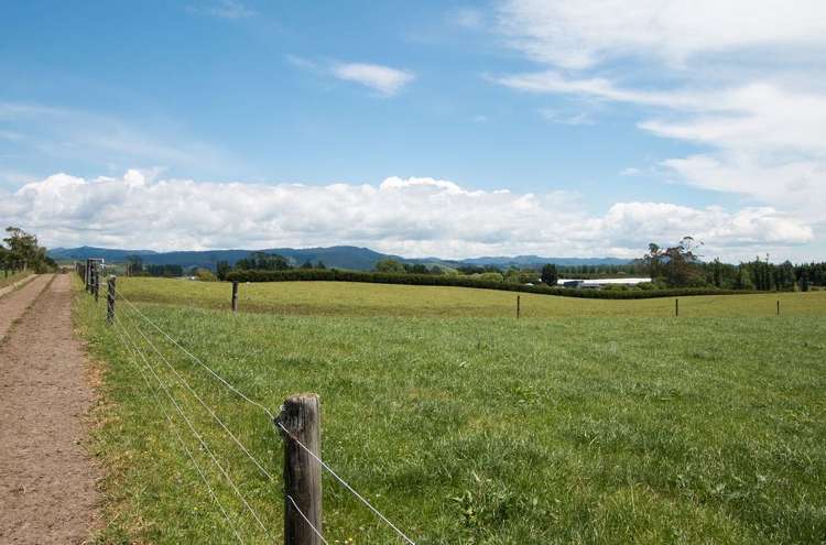 305 Waihi Beach Road Waihi_5