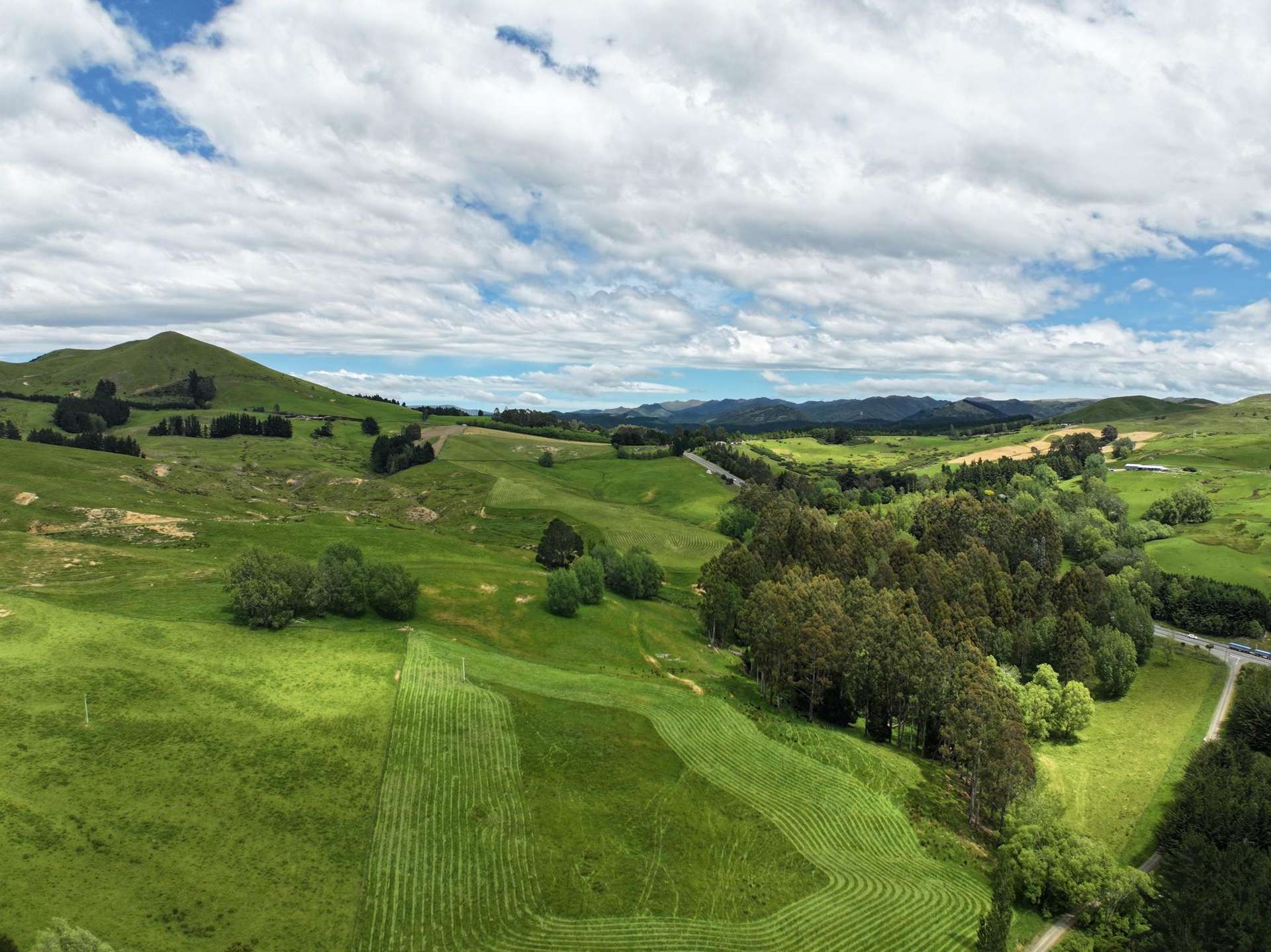 61 Whites Road Waikouaiti_0