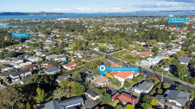 212 Royal Road Massey_23