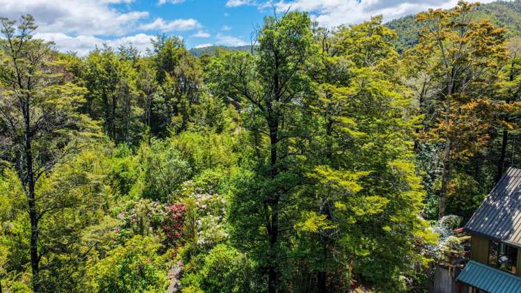 Kerr Bay Road St Arnaud_4