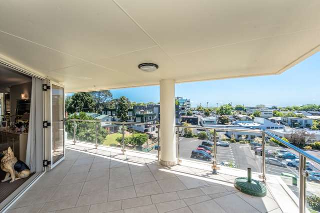 40g Thackeray Street Hamilton Lake_3