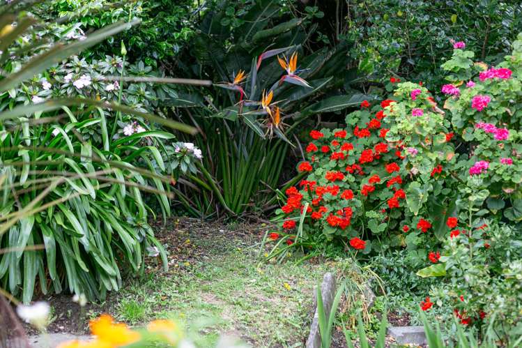 108A Weka Street Miramar_21