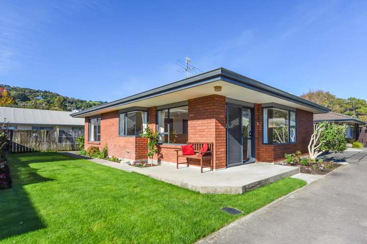 2/8 Rawhiti Street_0