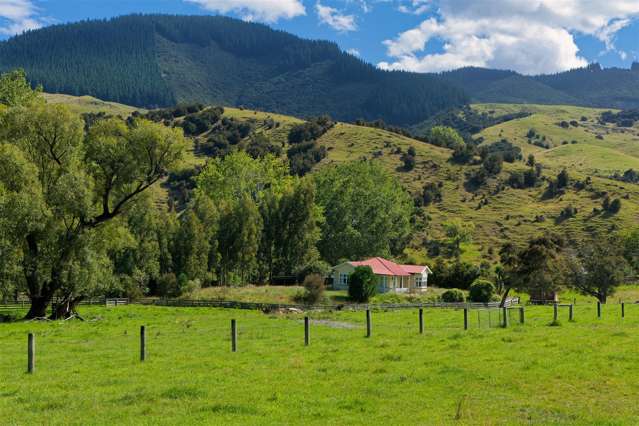 1065 Clarence Valley Road Kaikoura_4