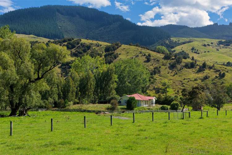 1065 Clarence Valley Road Kaikoura_4