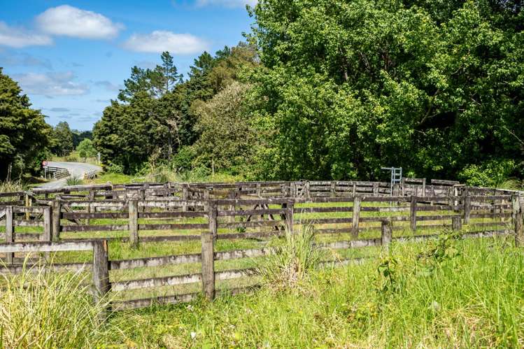 278 Griffin Road Maungaturoto_18