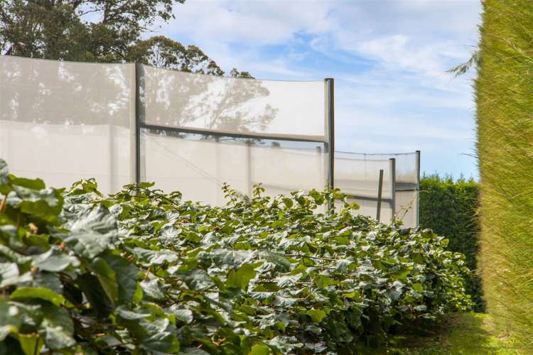 25 Crosby Lane Hauraki Surrounds_6