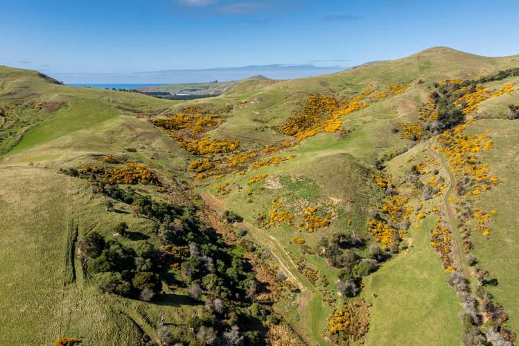 452 Harington Point Rd Lower Portobello_10