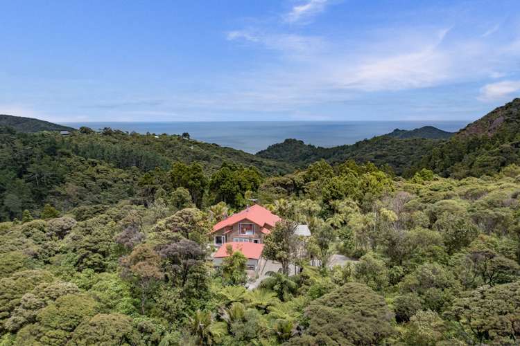 16 La Trobe Track Karekare_3