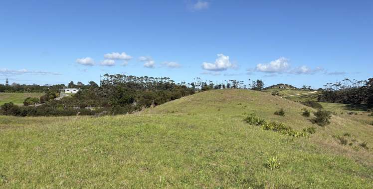 Lot 8 4815 State Highway 1 Houhora_15