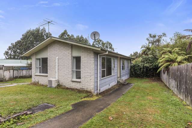 40a Homedale Street Pukehangi_1