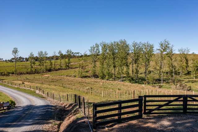 32a Rockspring Lane Kerikeri Surrounds_3