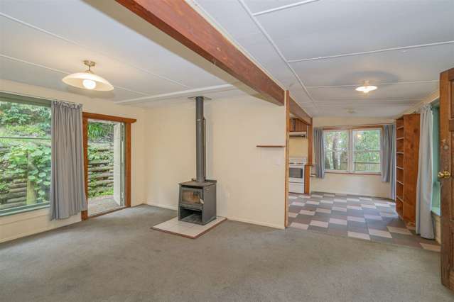 13 Waiotahi Road Thames_4