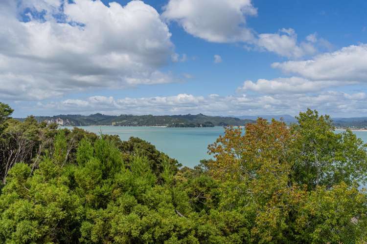 219 Buffalo Beach Road Whitianga_25