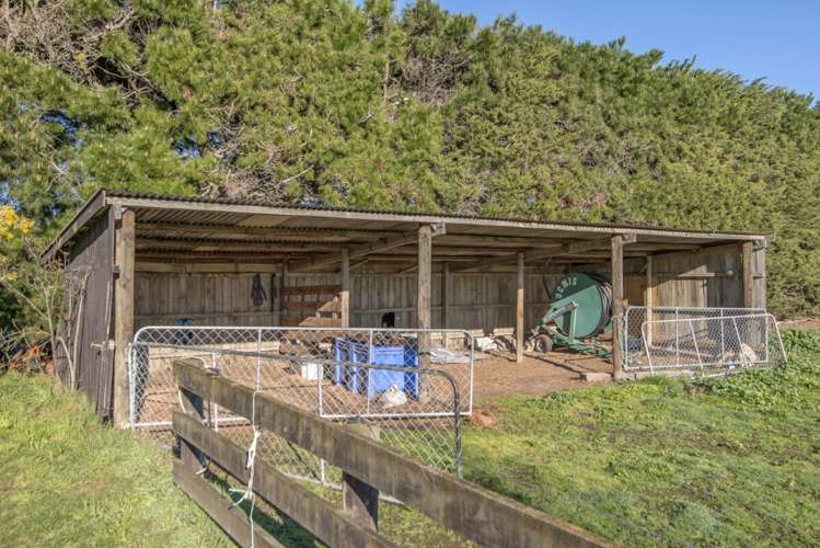 310 Old West Coast Road Templeton_19