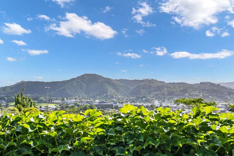 5A Paratai Crescent Woodhill_28