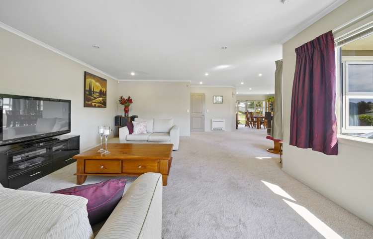 3 Catlins Glen Aotea_9