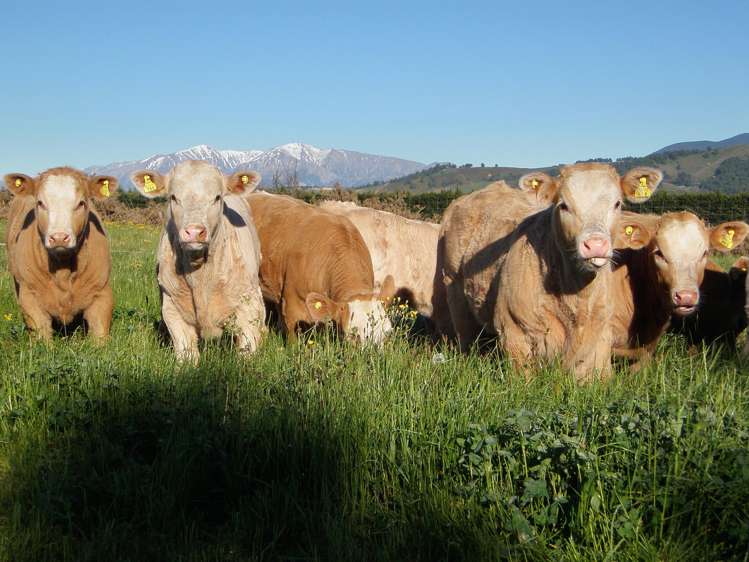 48 Gardiners Road, Starvation Hill Oxford_20