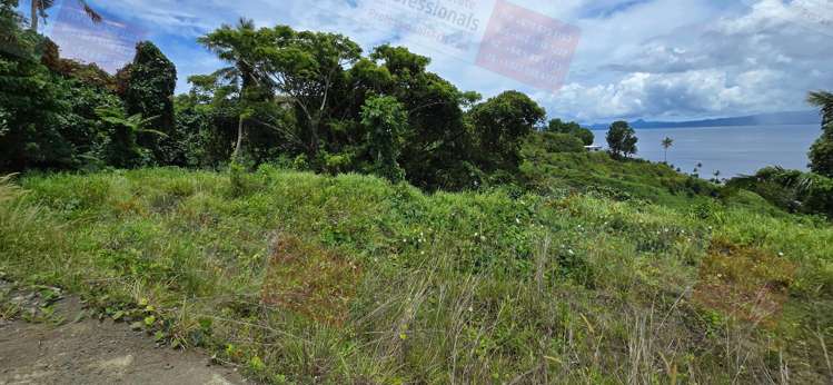 Address withheld Savusavu_20