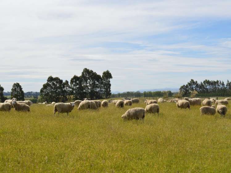 485 Nine Mile Road Riversdale_11