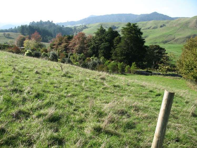 223 Kimihia Road Huntly_6