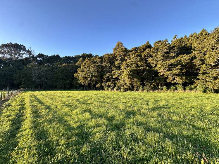 966 Kahikatea Flat Road Waitoki_19