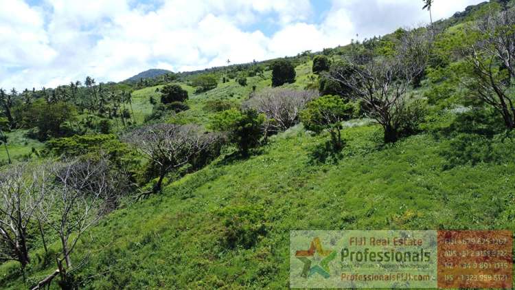 Address withheld Taveuni_18