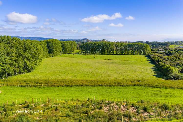 42 Ocean Sounds Place (Proposed Lots 4 and 5) Mangawhai_5