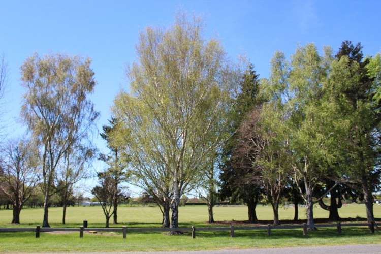 221 Middle Road Allenton_18