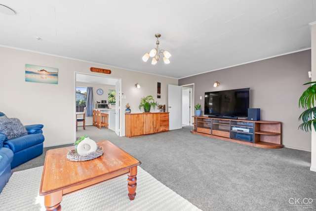 127 Gemstone Drive Birchville_3