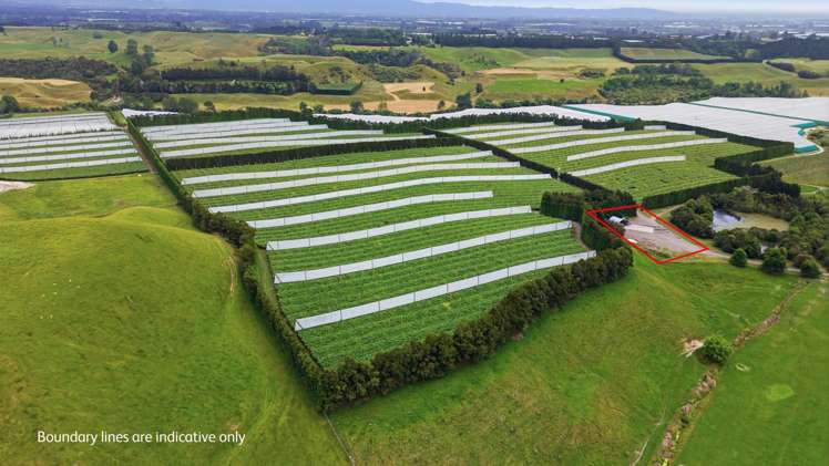 80 Roydon Downs Road Paengaroa_10