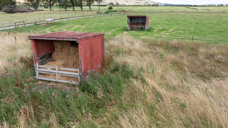 30 Braudigam Road East Tapanui_19