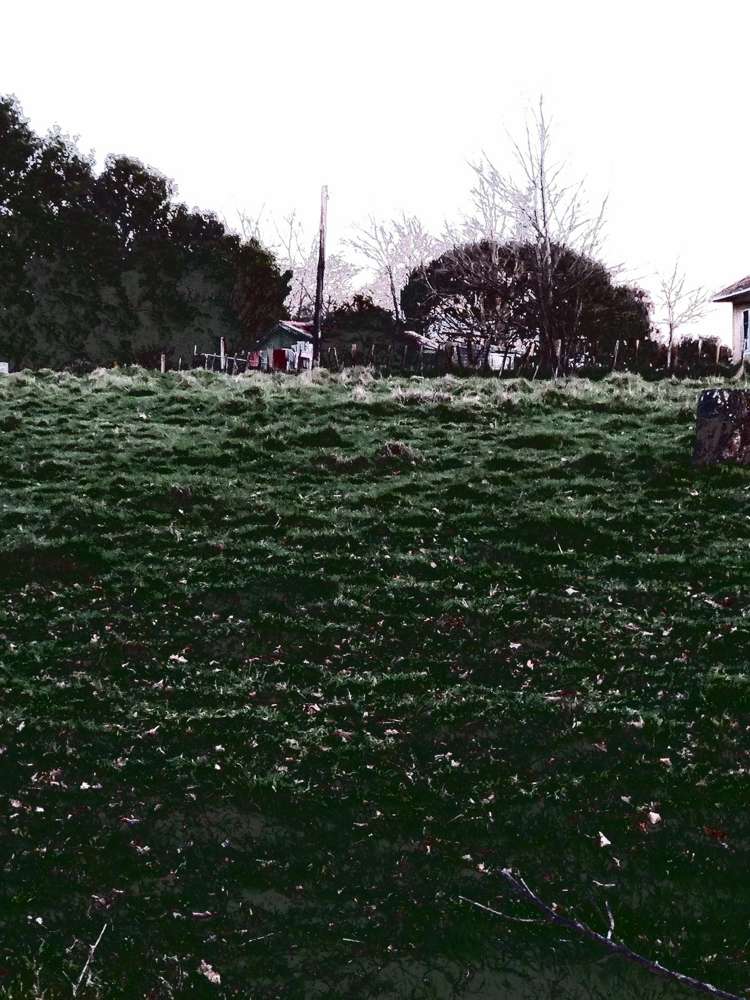 866 Bond Road Te Awamutu_17