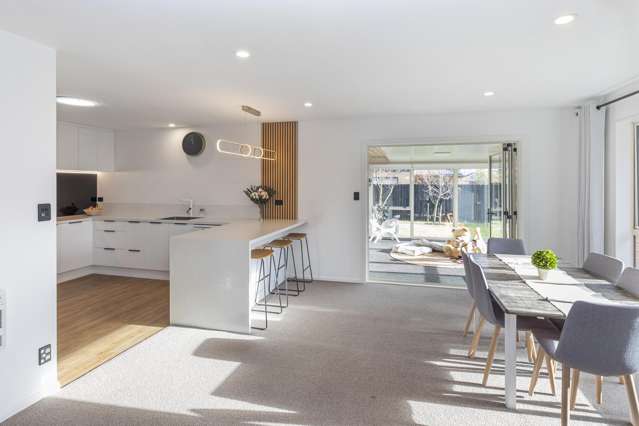 20 Riegler Place Belfast_3