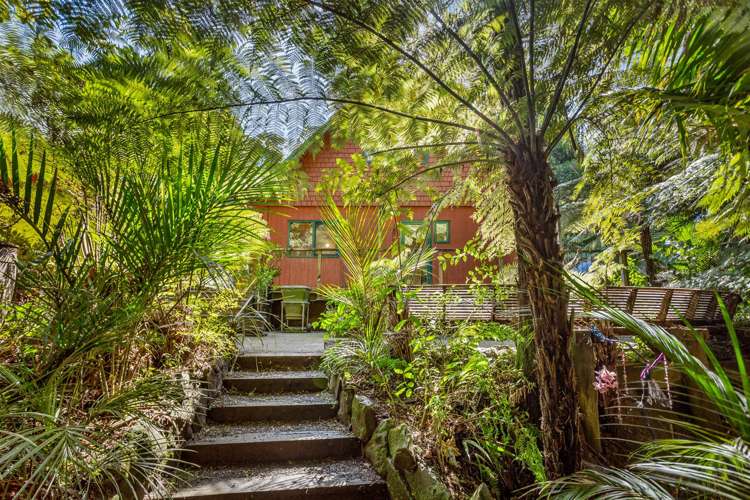 74 Grassmere Road Henderson Valley_19