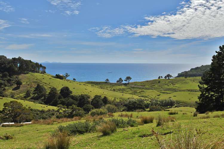 123 Goat Island Road Leigh_16