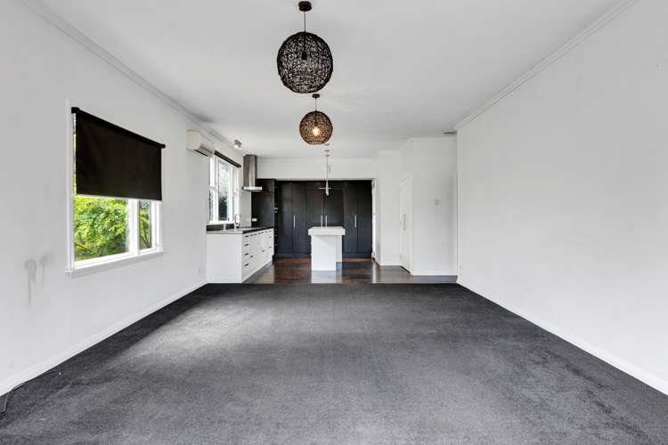 91 Mill Road Lower Vogeltown_8