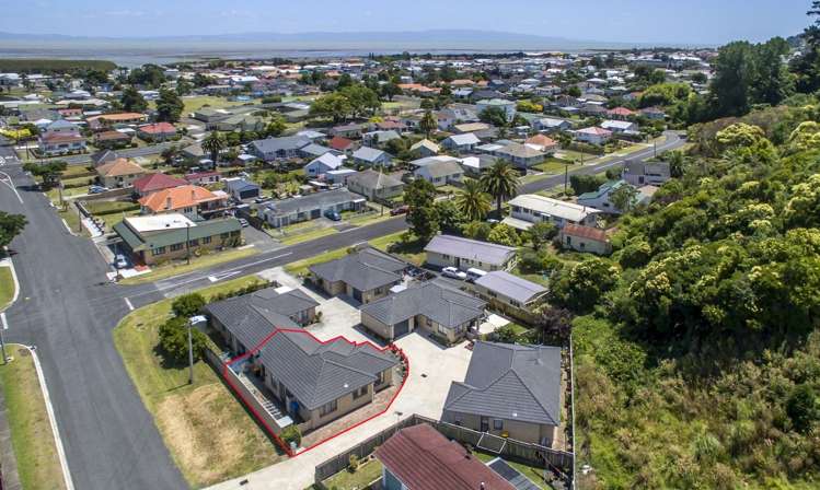 302c Heale Street Thames_1