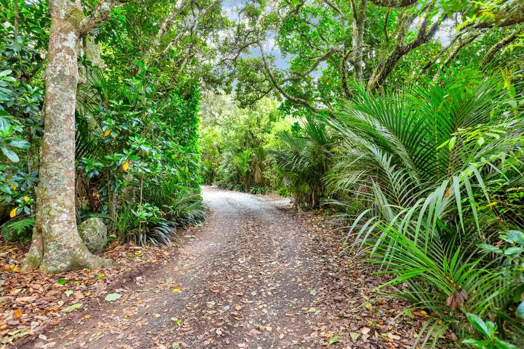 163 Simons Road Poroti_6